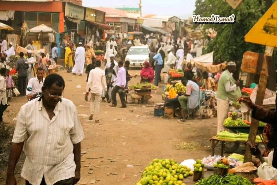 مبدعي كوستي ينثرون الجمال في موقع منظمة كوستي للثقافة والتنمية