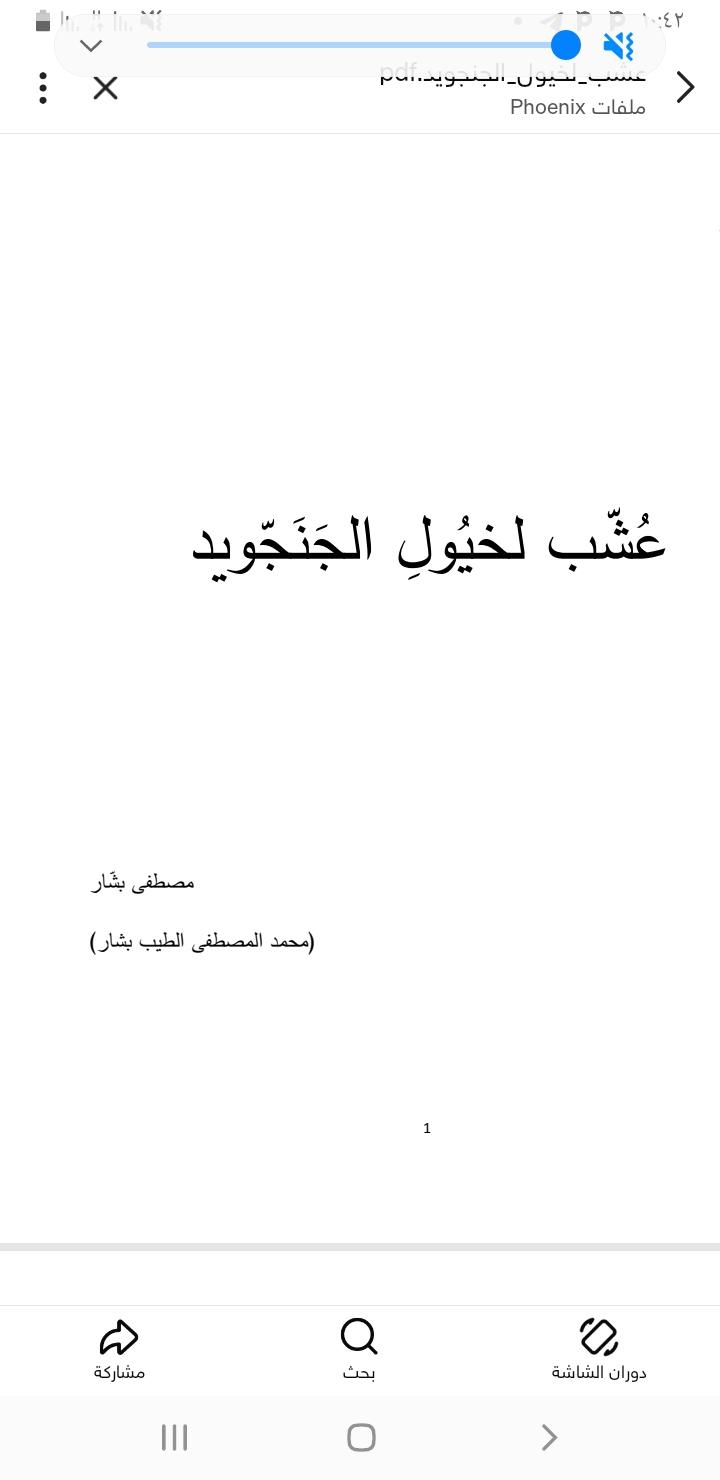 عشب لخيول الجنجويد/محمد المصطفى بشار 