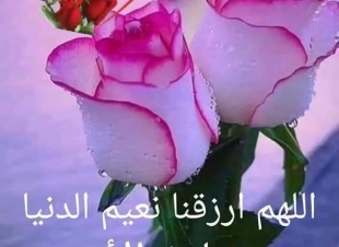 الصباح اهو لاح 