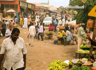 مبدعي كوستي ينثرون الجمال في موقع منظمة كوستي للثقافة والتنمية