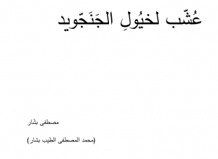 عشب لخيول الجنجويد/محمد المصطفى بشار 