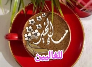  مساء الخير 